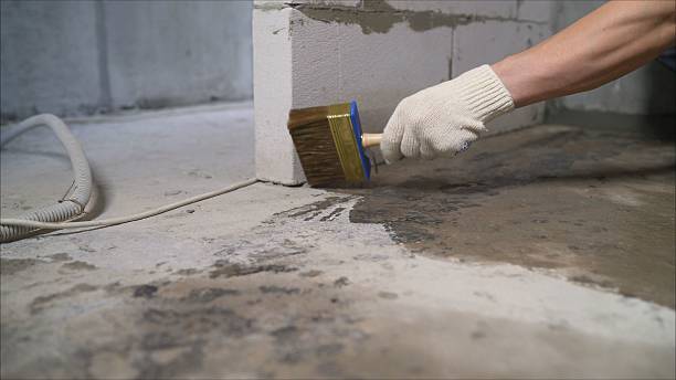 24/7 Emergency Wet Basement Repair experts in Goodlettsville, TN